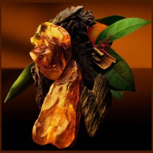 Louis Vuitton Ambre Levant